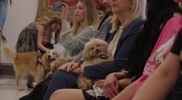 Animali, assegnati i premi Penna d’Oca del Campidoglio