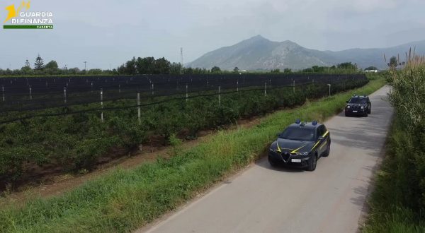 Frodi finanziamenti UE, a Caserta 12 arresti e sequestri per 9,5 mln