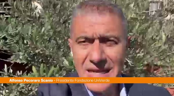 Pecoraro “A TuttoFood il meetup della Rete Ecodigital”