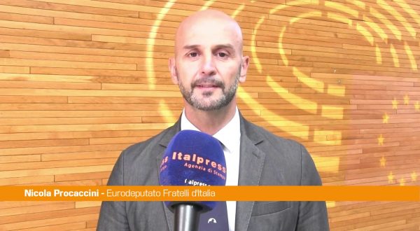 Ue, Procaccini “Dilazione regole automotive sia più lunga possibile”