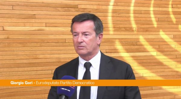 Ue, Gori “Flessibilità su automotive è un segnale di pragmatismo”