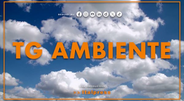 Tg Ambiente – 8/6/2025