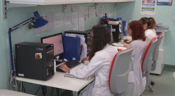 A Palermo una scuola di specializzazione in Scienza dell’alimentazione