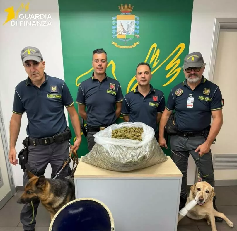 A Catania sequestrati 12 chili di marijuana del tipo ‘skunk’