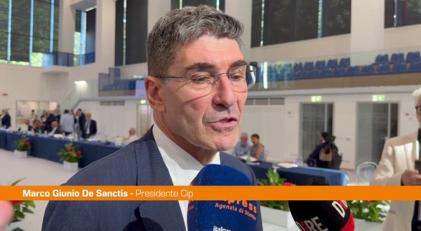 Cip, De Sanctis “Serve un passo culturale in più per colmare il gap”