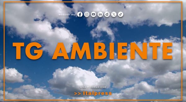 Tg Ambiente – 29/6/2025