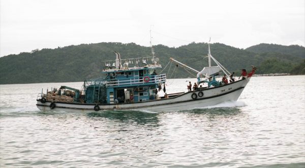 Nuove risorse per la filiera ittica