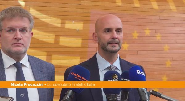 Green Deal, Procaccini “Bene controllo su finanziamenti a Ong”