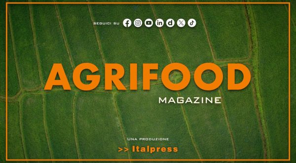Agrifood Magazine – 25/6/2025