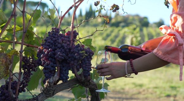 Vino e pasta trainano il Made in Italy nel mondo