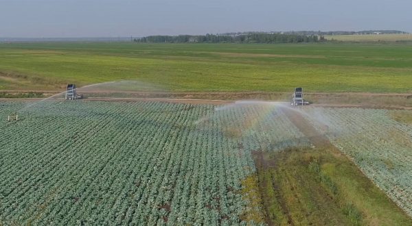L’Ue potrebbe produrre più cibo con meno risorse