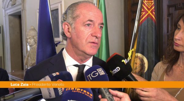 Zaia “Bimbi da Gaza? In Veneto porte aperte, si curano tutti”