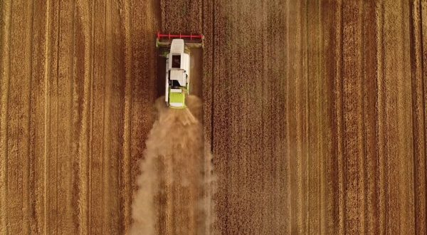 Agricoltura, nuovi finanziamenti per l’innovazione