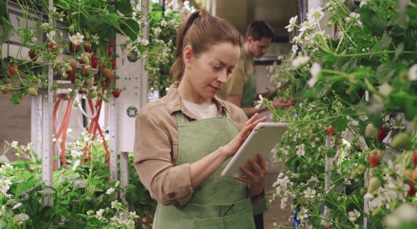 Il futuro dell’agricoltura è circolare