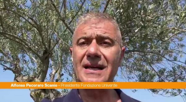 Pecoraro Scanio “La Sardegna sostenga agricoltori nelle aree protette”