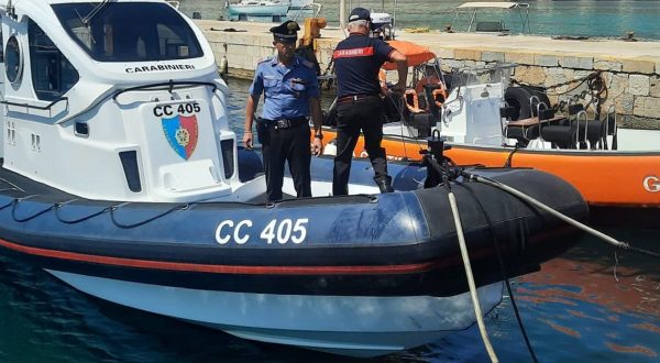 A Favignana i Carabinieri salvano quattro tartarughe in difficoltà