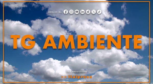 Tg Ambiente – 15/6/2025