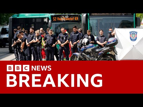 Austrian school gunman who killed nine was 21-year-old former pupil, officials say | BBC News