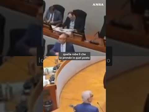 Bagarre ad Ancona in Consiglio regionale, la frase omofoba nel botta e risposta #ansa #news
