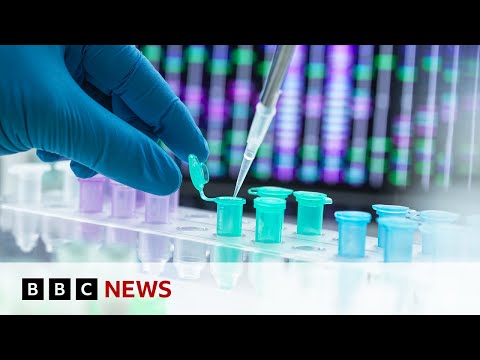 Work begins to create artificial human DNA from scratch | BBC News