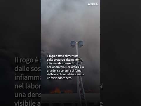 Vasto incendio all’ateneo di Viterbo, allontanati gli studenti #ansa