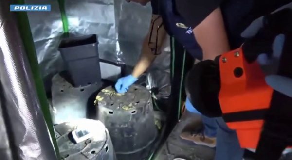 Operazione antidroga a Caltanissetta, 11 misure cautelari