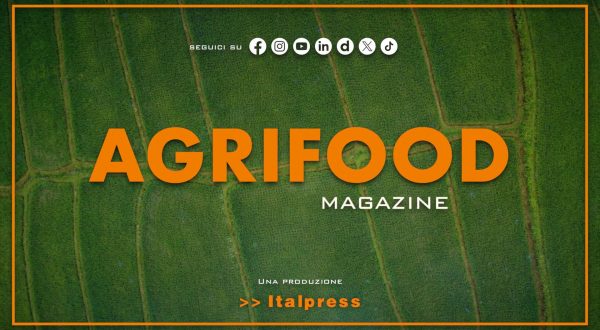 Agrifood Magazine – 18/6/2025