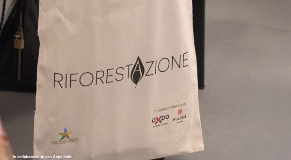 Verde urbano, il progetto “Riforestazione” fa tappa a Palermo