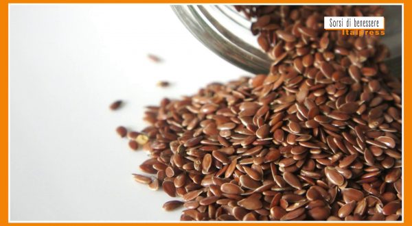 Sorsi di Benessere – I semi di lino