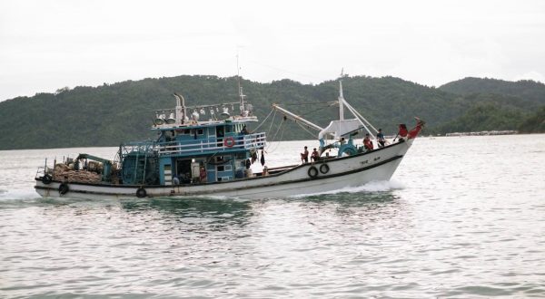 21 milioni di euro per potenziare la filiera ittica