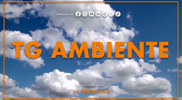 Tg Ambiente – 1/6/2025