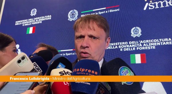 Lollobrigida “Sui dazi trattativa aperta, ci sono dei risultati”