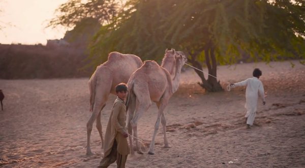 Children in Crisis sostiene l’istruzione per i bambini in difficoltà