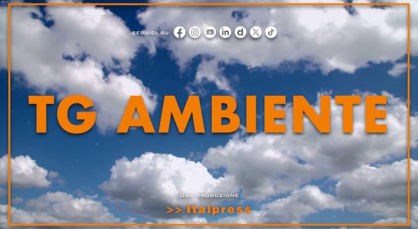 Tg Ambiente – 6/7/2025