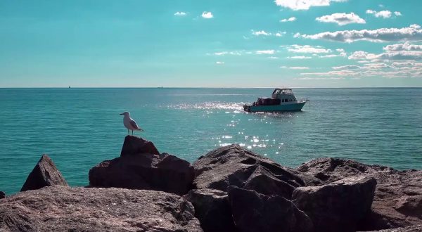 Pesca, verso una governance comune per l’Adriatico