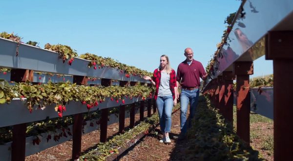 “Coltiva Italia”, un maxi piano per l’agricoltura