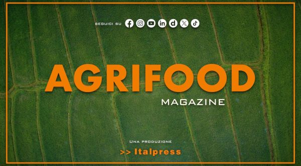 Agrifood Magazine – 2/7/2025
