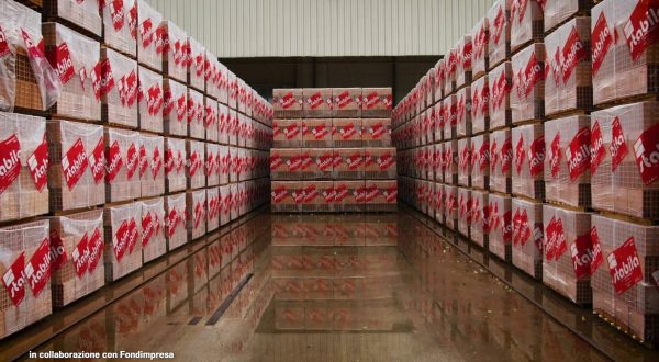 Imprese, senza formazione continua non può esserci innovazione