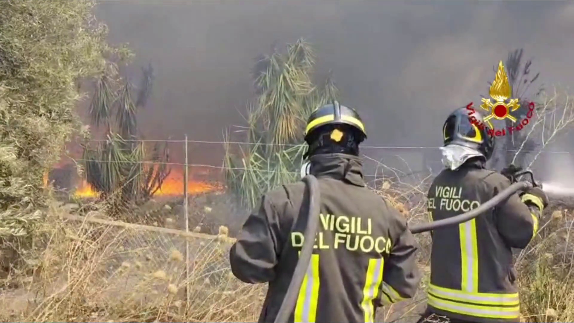 Incendi a Catania, le fiamme minacciano capannoni e attività