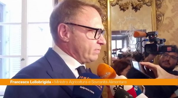 Dazi, Lollobrigida “Tavolo comune con Usa per rafforzare rapporti”