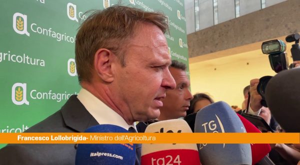 Agricoltura, Lollobrigida “Evitare che l’Ue faccia scelte folli”
