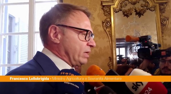 Lollobrigida “La riforma della cittadinanza non è una priorità”