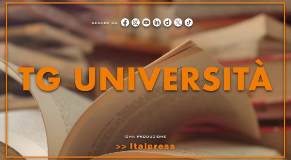 Tg Università – 29/7/2025