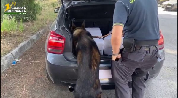 Catanzaro, sequestrati oltre 8 kg di marijuana. Arrestata una persona
