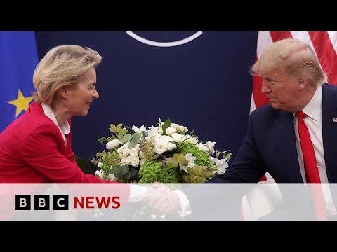 EU delays retaliatory trade tariffs against US | BBC News