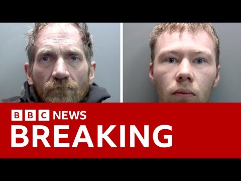 Men who cut down UK’s iconic Sycamore Gap tree sentenced to four years in prison |  BBC News