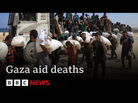 At least 73 Palestinians killed in Gaza waiting for aid says Hamas-run health ministry | BBC News