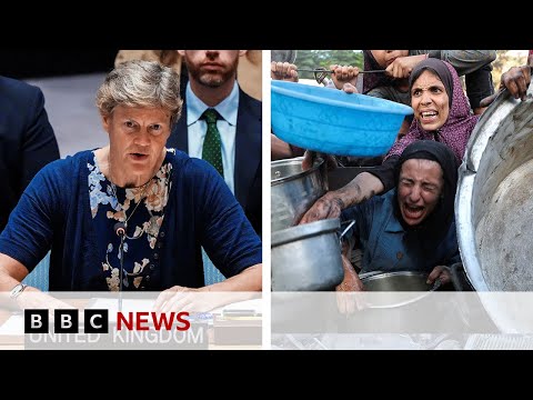 Israeli aid system ‘inhumane, ineffective, and dangerous’, says UK representative to UN | BBC News