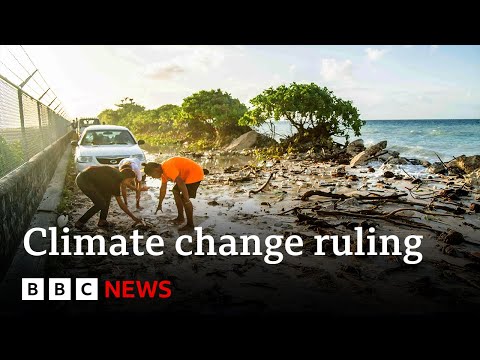 Top UN court says countries can sue each other over climate change | BBC News