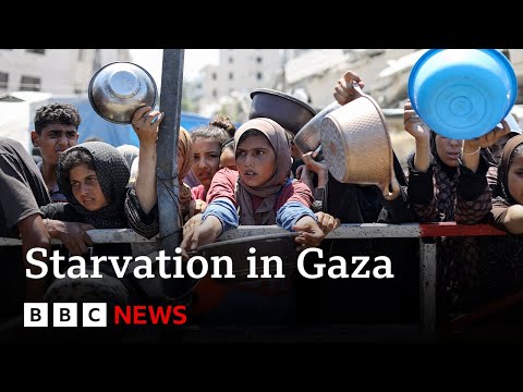 Gaza faces ‘man-made mass starvation’, says WHO chief | BBC News